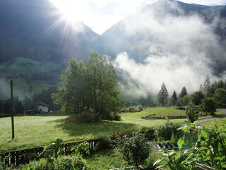 Morgenstimmung