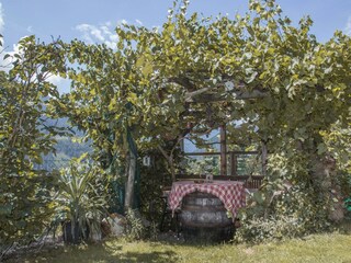 In der Weinlaube