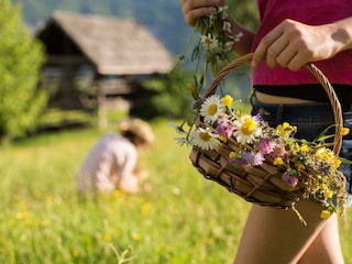 Wiesenblumen hinterm Haus