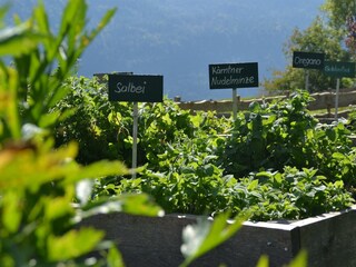 Wenn die Nerven knirschen, fahr nach Irschen!