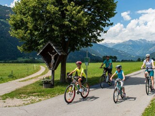Fahrradurlaub-in-Kaernten-Drauradweg