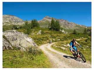 014-17 ©FRANZGERDL NPHT e-bike _9130