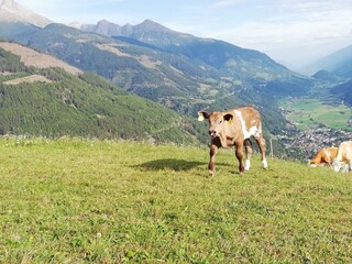 Freches Kerlchen