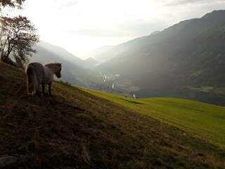 Morgenspaziergang