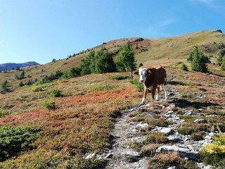 Auf dem Weg zur Lonza