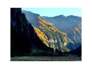 76784573_561595327925782_2657890899962363904_n