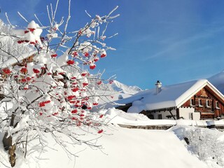 IMG_20201211_085750