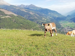 Freches Kerlchen