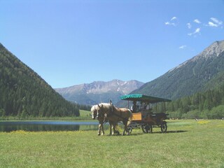 Kutschenfahrt_im Seebachtal1(copyright Peter Anger