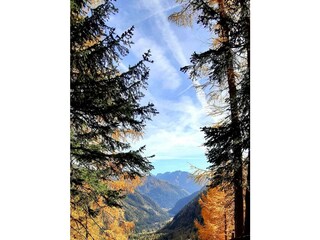 72845916_783564888735822_2060183678885036032_n