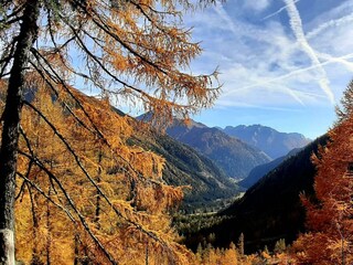 75262209_427629204803944_6682660145513627648_n