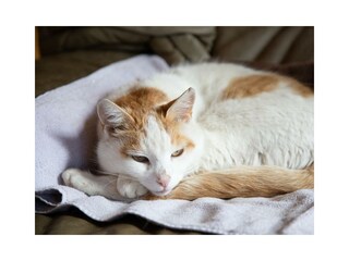 Erlebnishotel_3108_0520