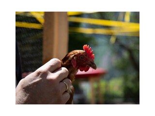 Erlebnishotel_3241_0520