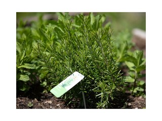 Erlebnishotel_3262_0520