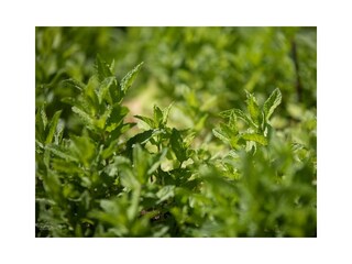 Erlebnishotel_3259_0520