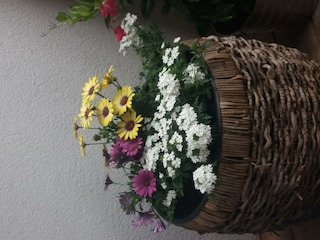 20180524_135041