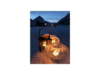 Eisbar_2020
