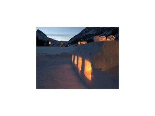 Eisbar2_2020