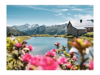 FB_IMG_1627048398681