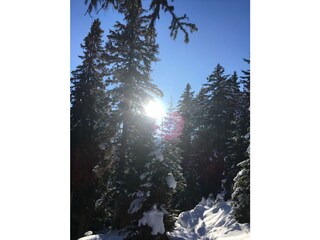 Winterwanderung