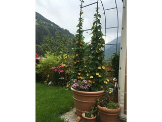 im Garten