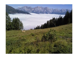 Auf dem Weg zur Ascherhütte