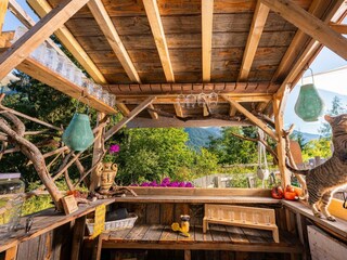 _DSC8197
