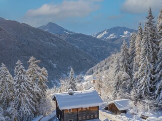 IMG_6982