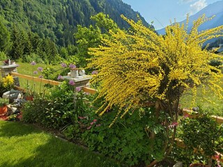 Der Garten blüht wieder