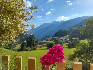Gartenausblick