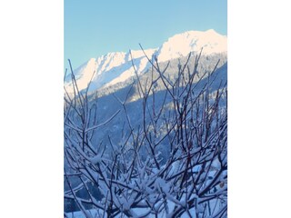 Gartenaussicht im Winter