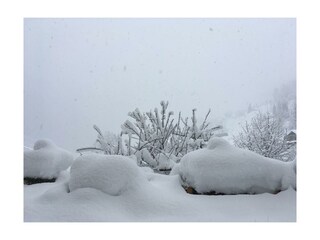 Blick vom Apartment "Corinna" in den Garten