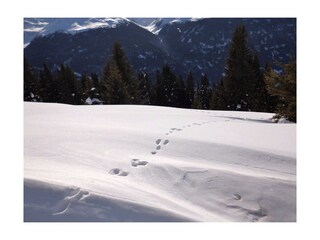 Spuren im Schnee