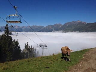 Auf dem Weg zur Ascherhütte