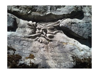 Wassermann in Habigen