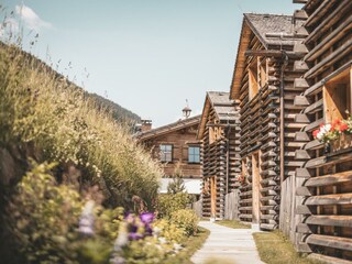 bergwiesenglueck-juni-2023-©DavidJohansson-6389-we