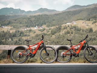 bergwiesenglueck-juni-2023-©DavidJohansson-6527-we