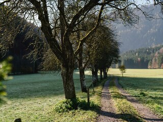 Tischlerhof_Kirchdorf_Wilder Kaiser