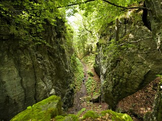 Magical Walks