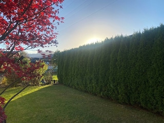 P6_Oberndorf_Tirol_GARTEN