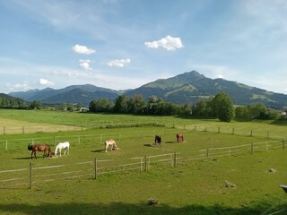 Aussicht