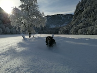 Tischlerhof Wilder Kaiser