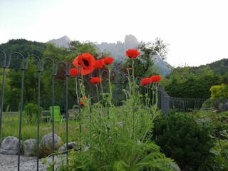 IMG_20200613_200936