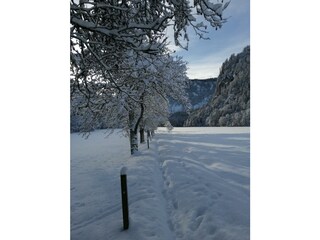 Tischlerhof Wilder Kaiser