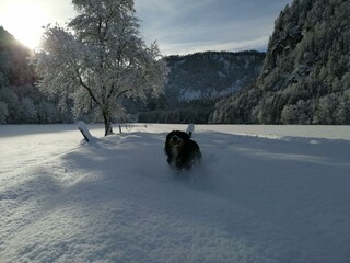 Tischlerhof Wilder Kaiser