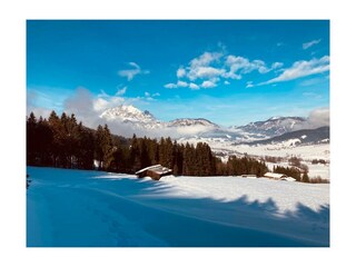 dd027e81-6342-4d19-8bf4-891397d8b9fd