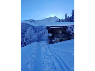 3694ae7a-6d18-4a88-a97b-7b5db8afea5a