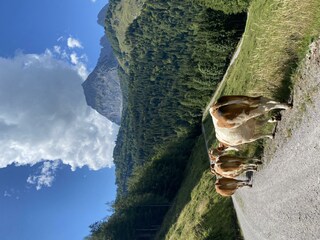 Schusterhof - Kirchdorf in Tirol