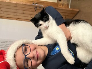 Berghof Haselsberger in St. Johann in Tirol