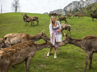 Urlaub am Bauernhof St. Johann in Tirol
